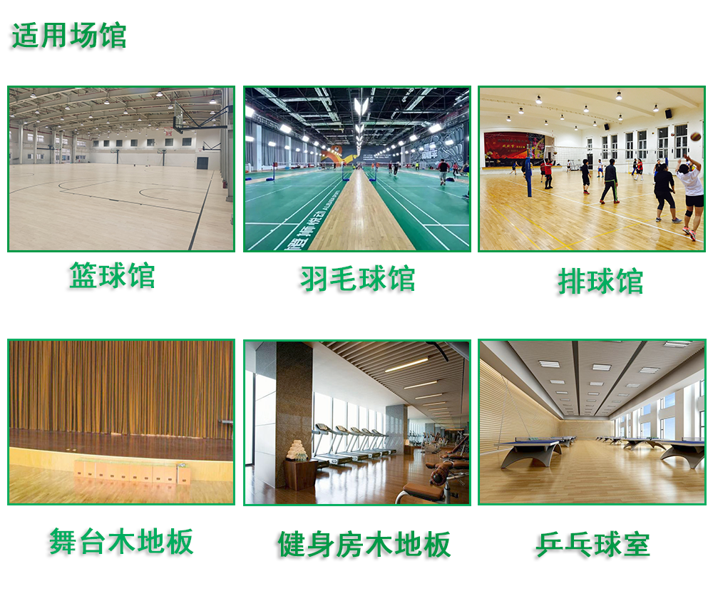 室內(nèi)運(yùn)動(dòng)木地板籃球場(chǎng)